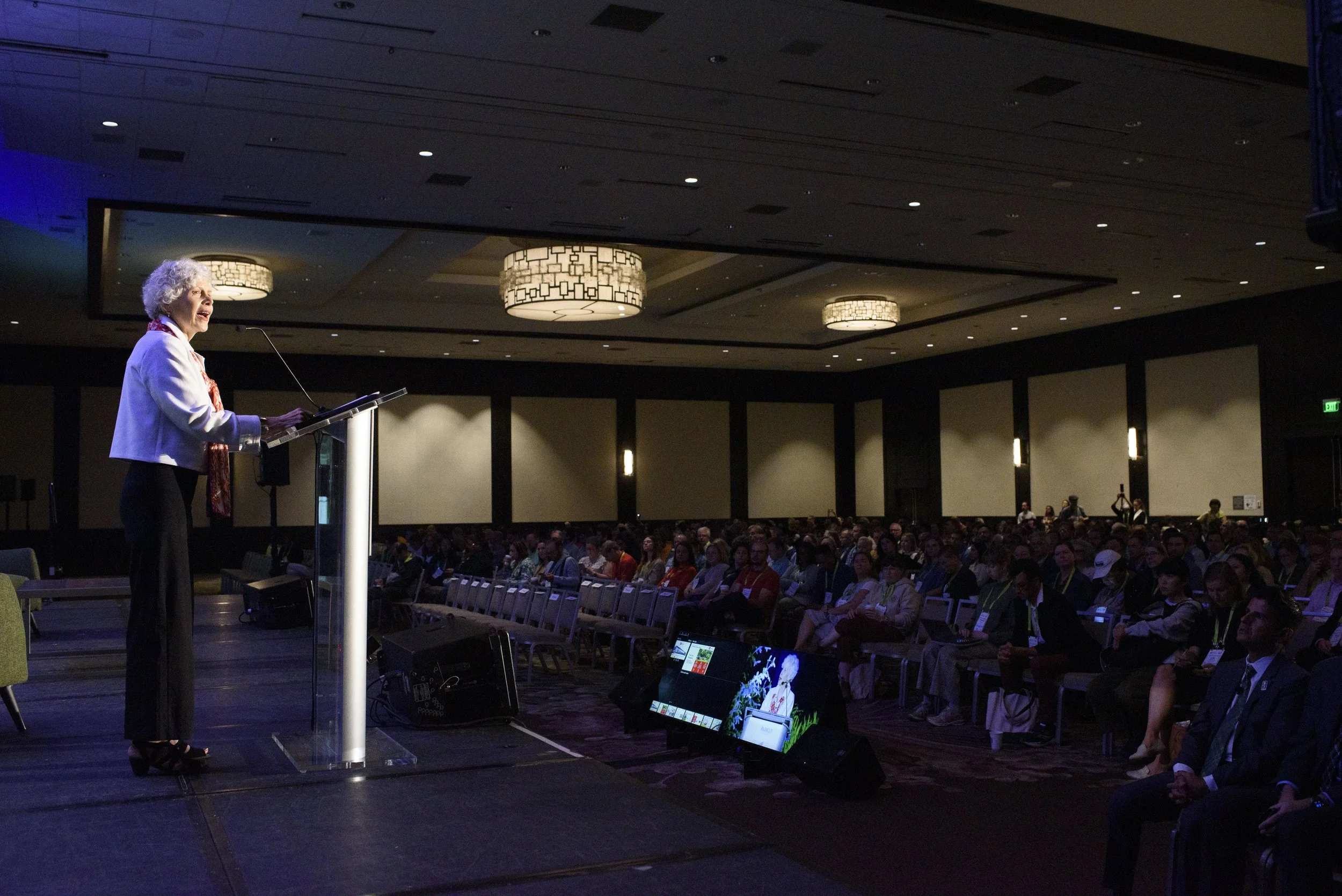 NDK GG2024-44.jpg