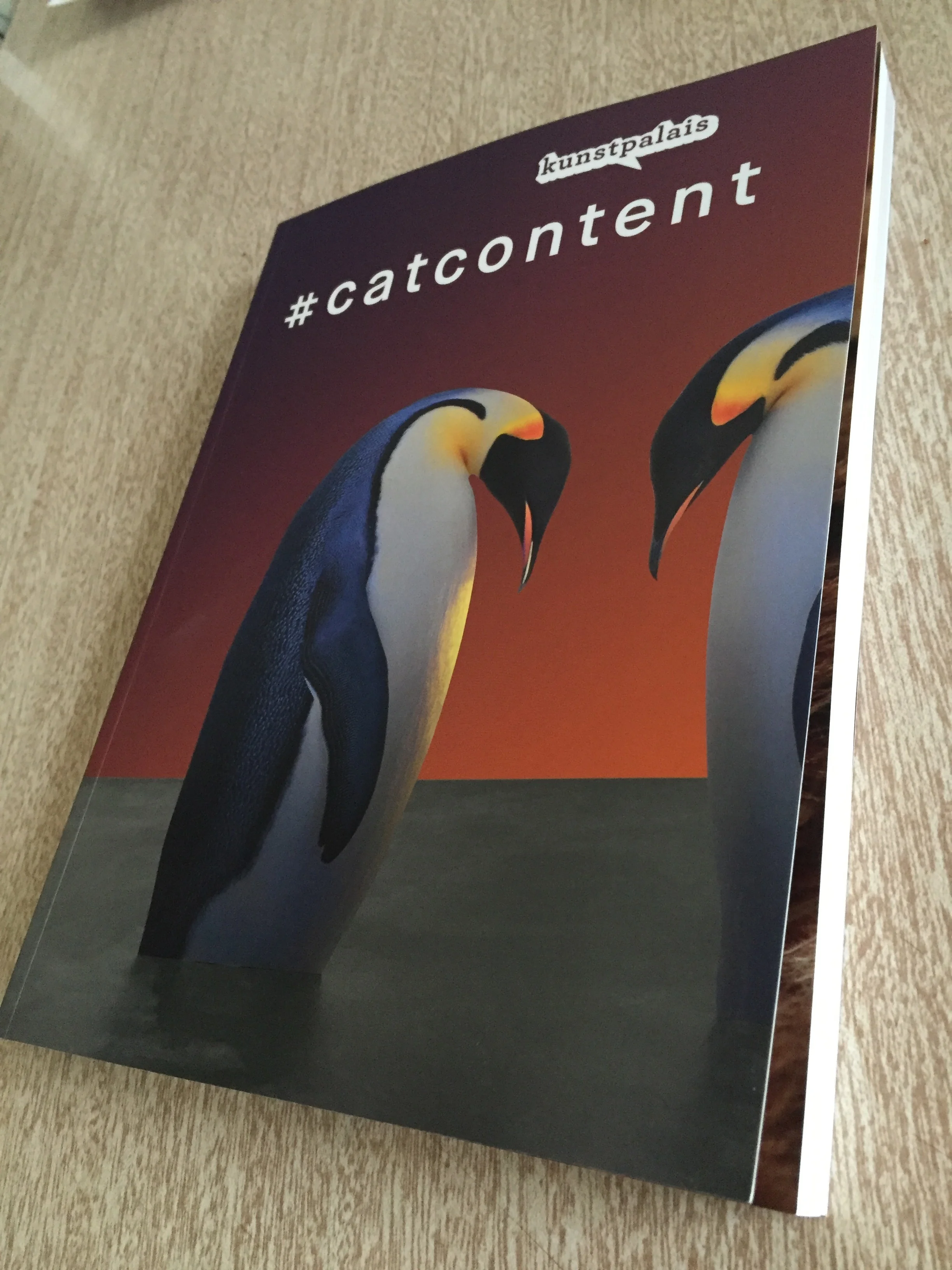 Interview in the Exhibition catalogue #catcontent