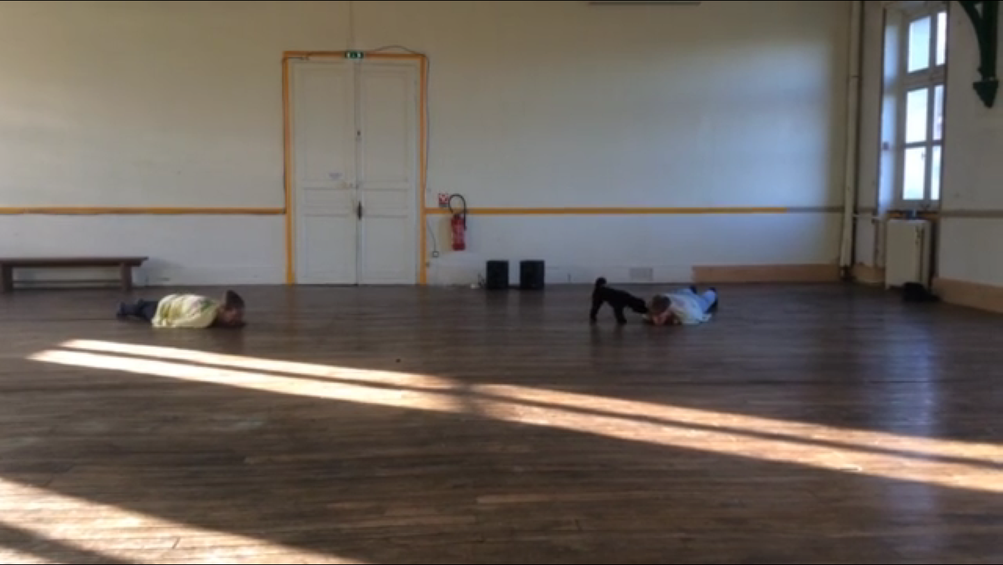 Performance for Cocotte