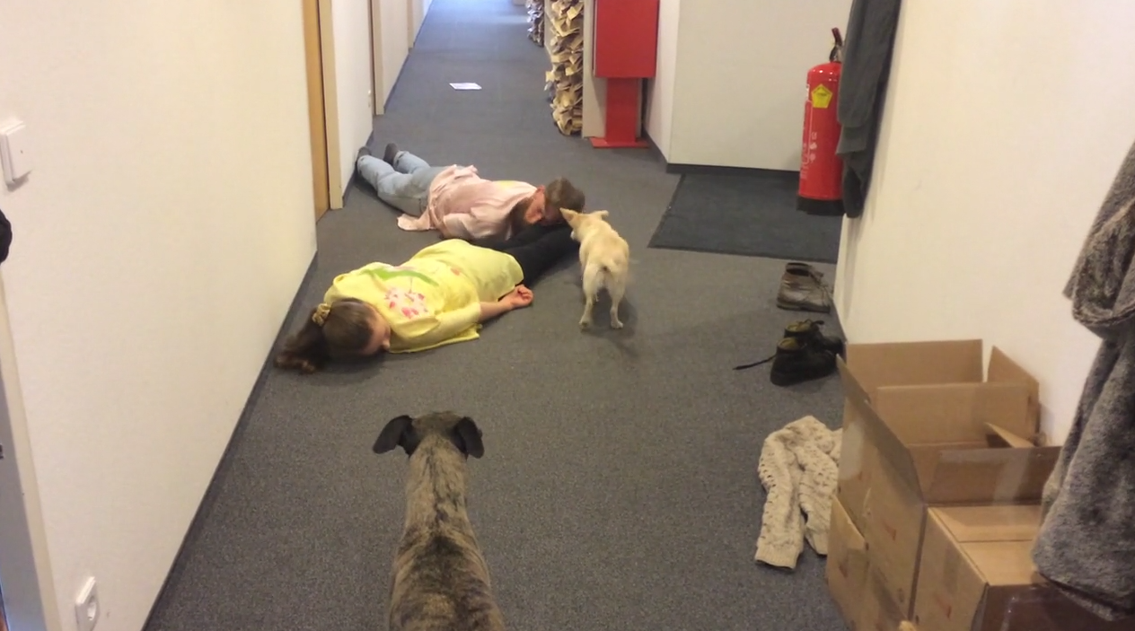 Performance for Angelina and Paul at the newsroom of Heute.at