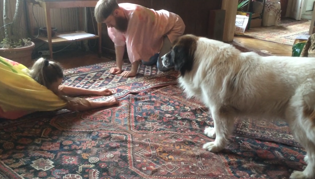 Performance for Anwalt 