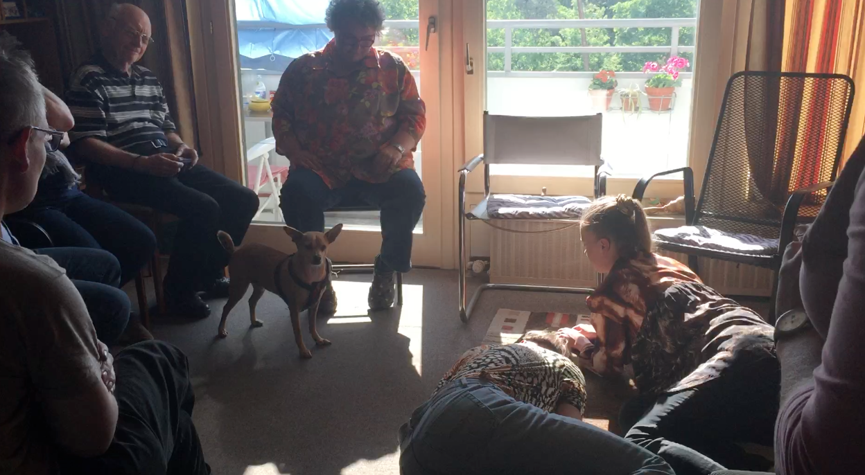 Performance for Kimba