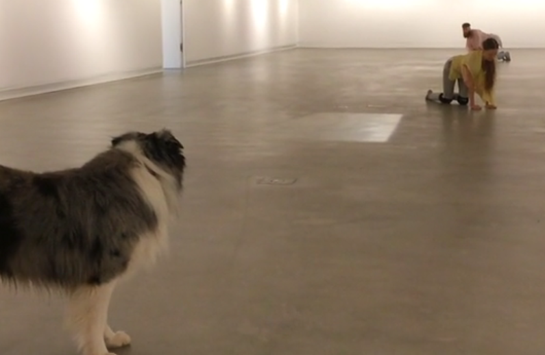 Kunstmuseum Ravensburg Compilation 