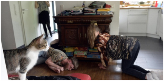 "Figurentheater: Performance für Haustiere in Erlangen"