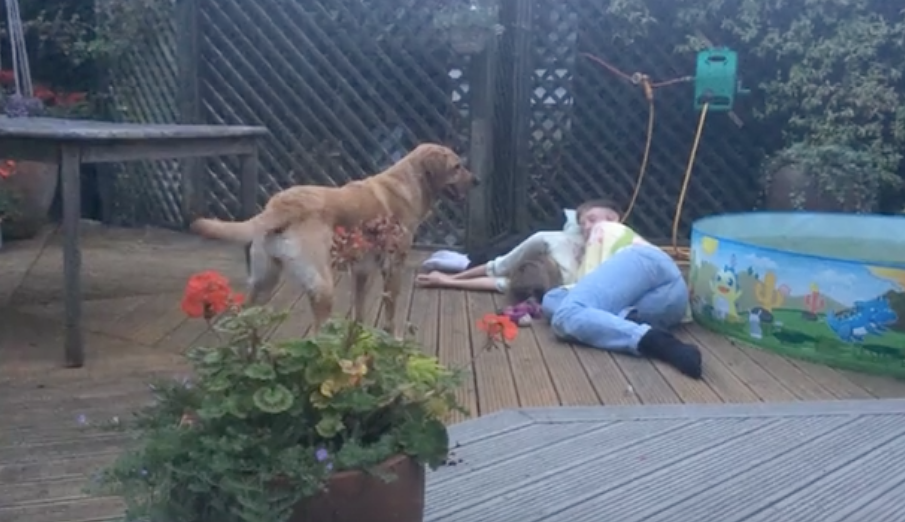 Performance for Lola 