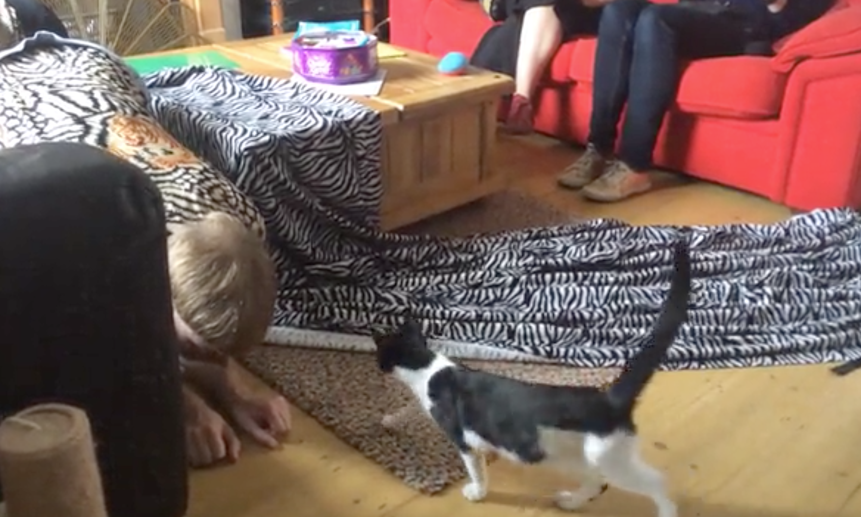 Performance for Patches