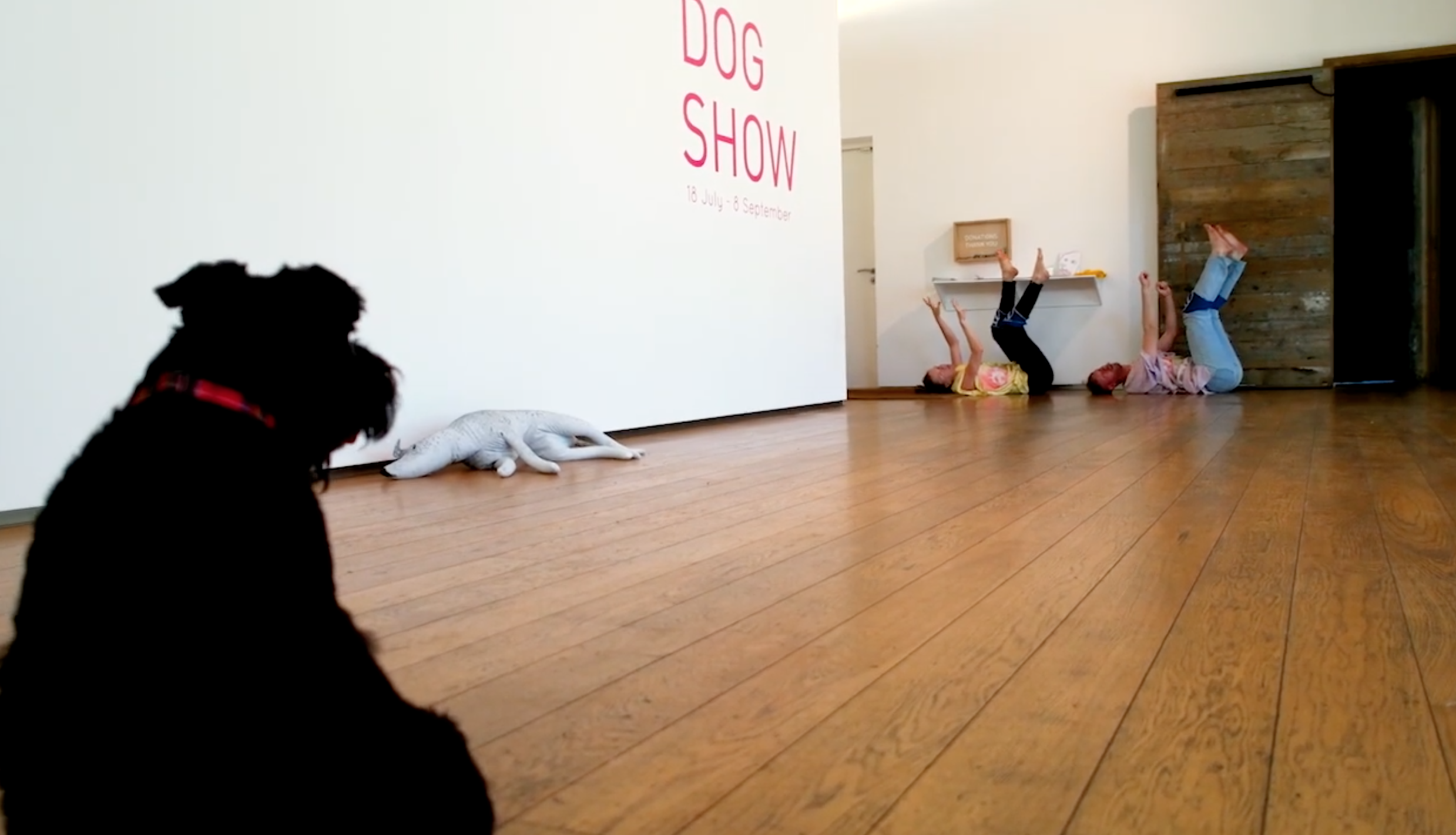 Performances for Pets compilation 