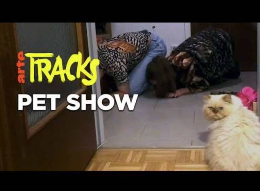 Arte tracks (en français) 