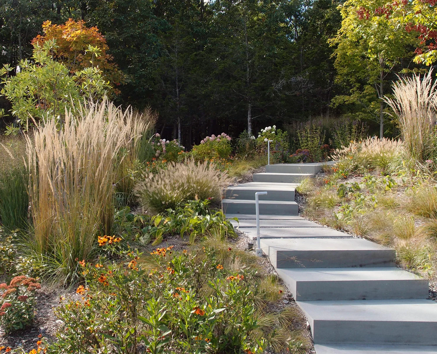 rock city - steps with light removed.jpg