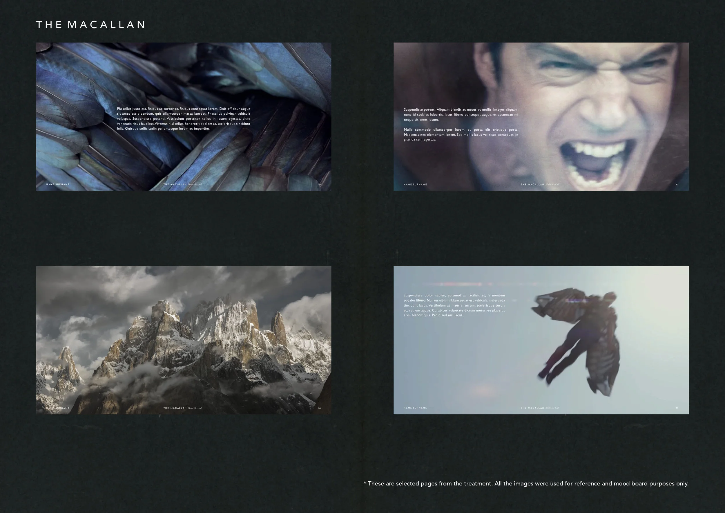 The Macallan Web Pages7.jpg