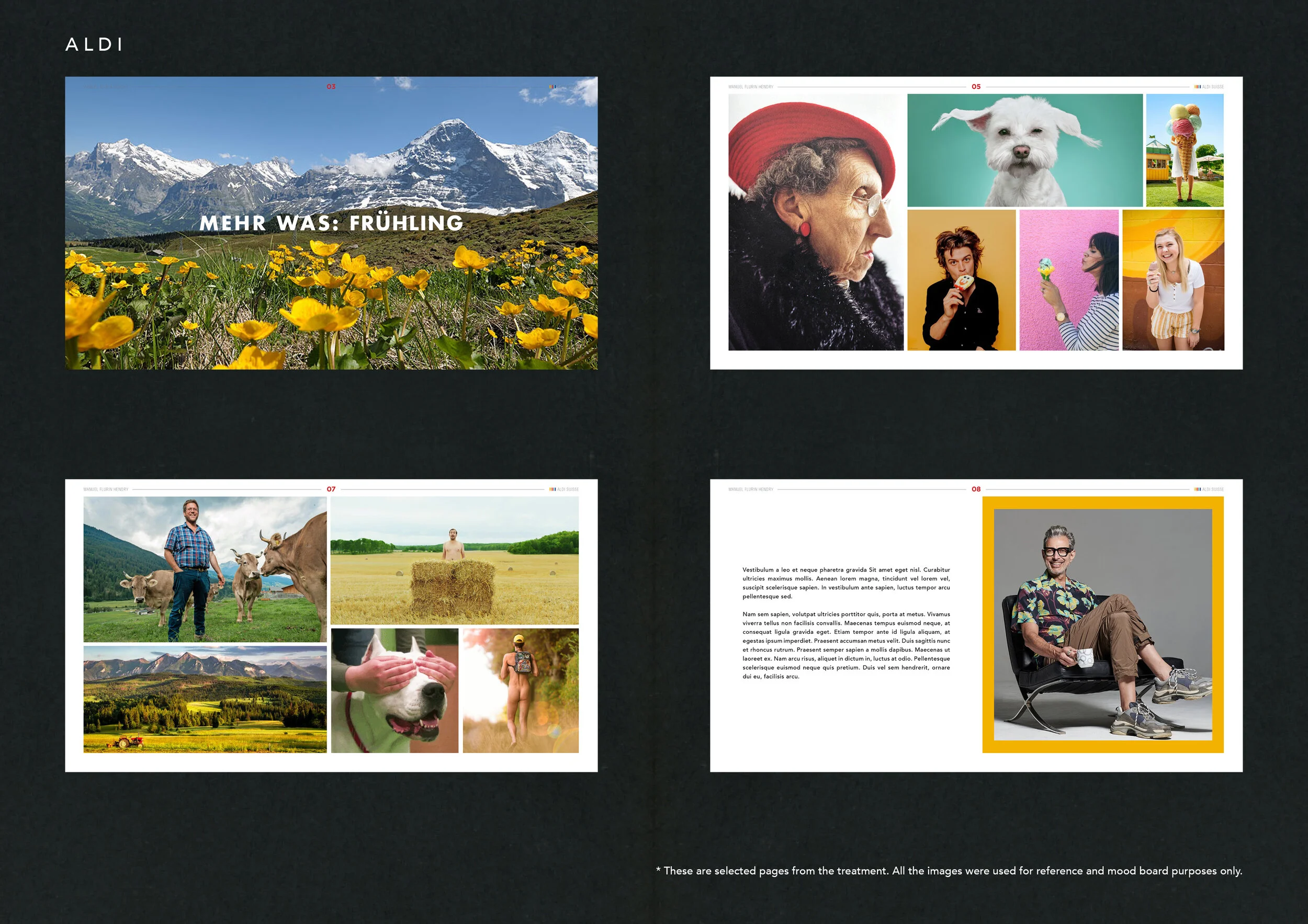 AC Portfolio HG MFH Aldi website pages .jpg