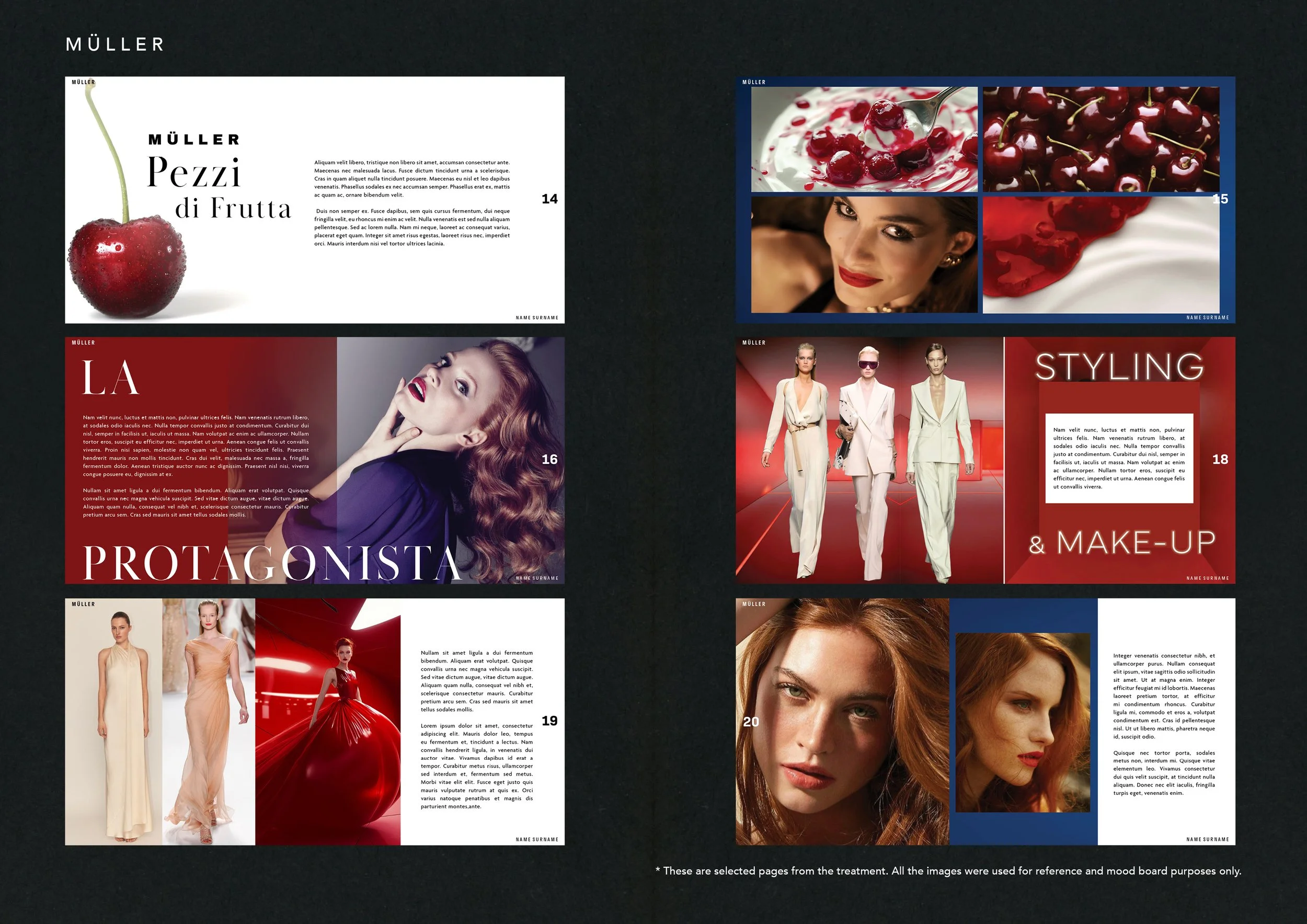 Muller2 Website Pages3.jpg