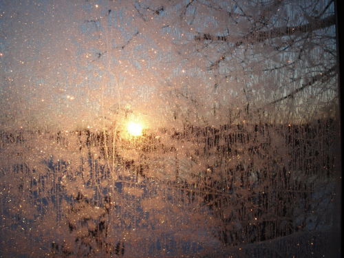 “The stars come up spinning every night, bewildered in love.” - Rumi