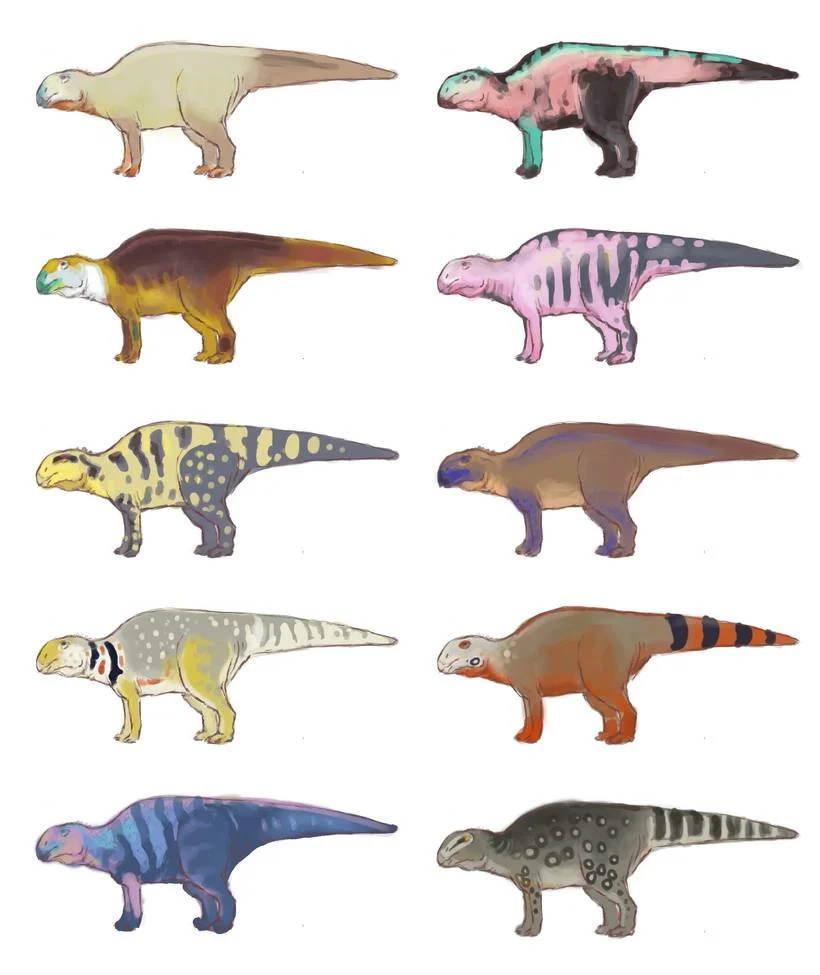 GreerStothers_Gryposaurus_Colours.jpg