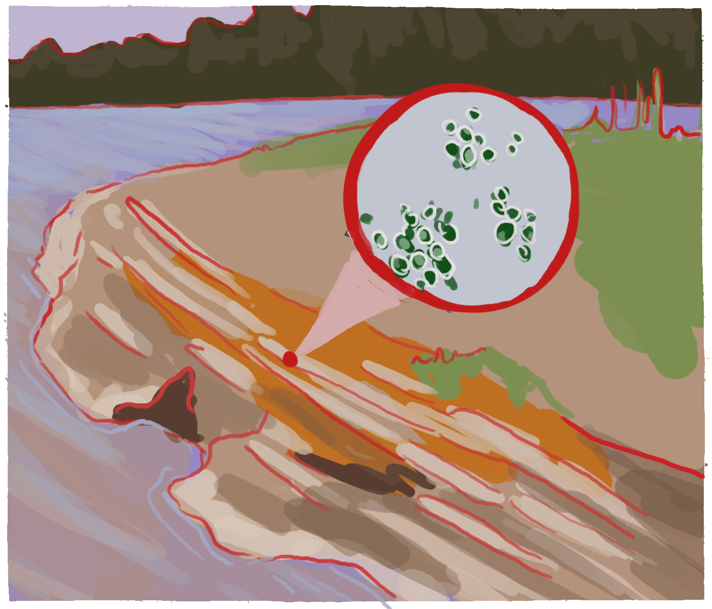 Concept 3: the location the article describes, with a close-up of the bacteria