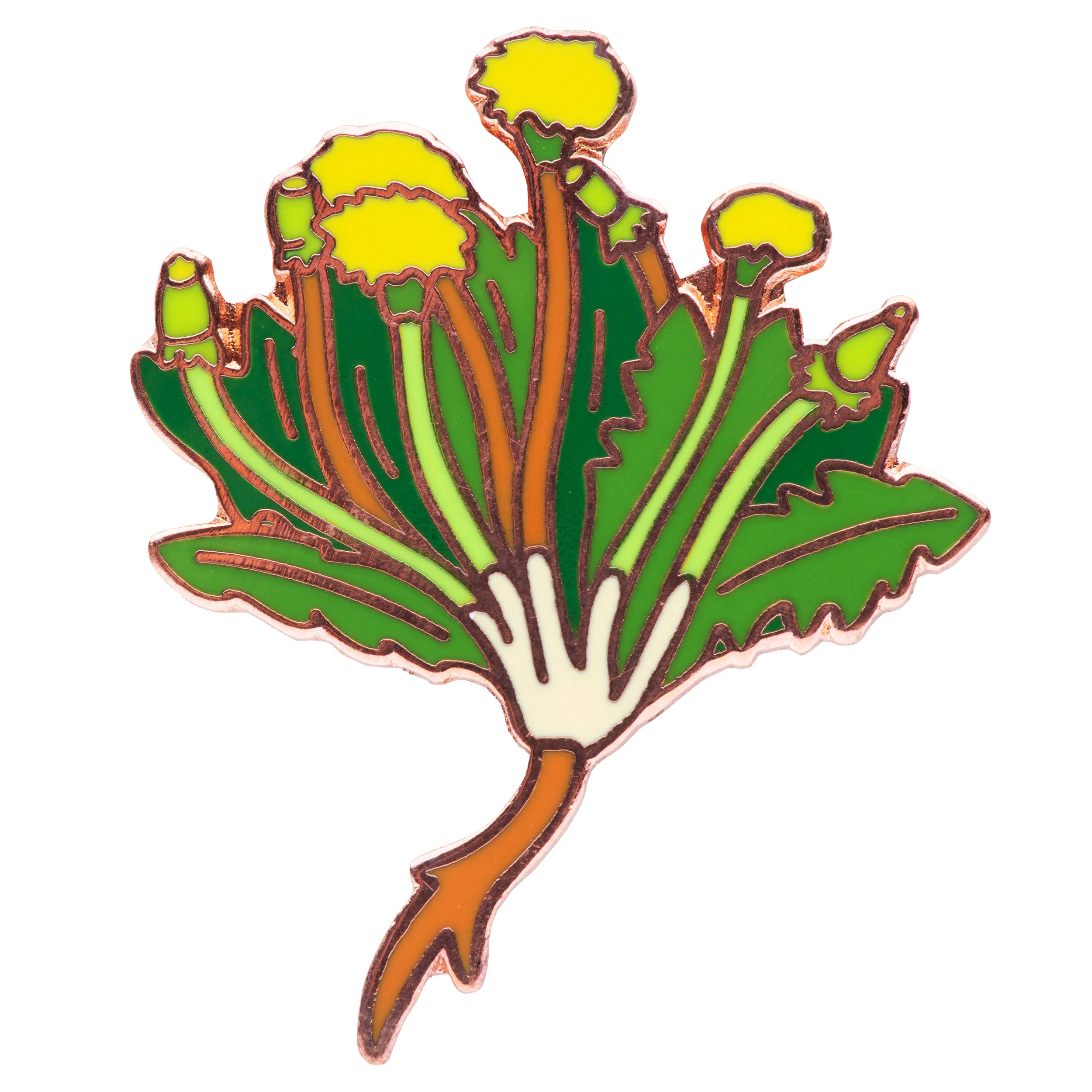 Dandelion