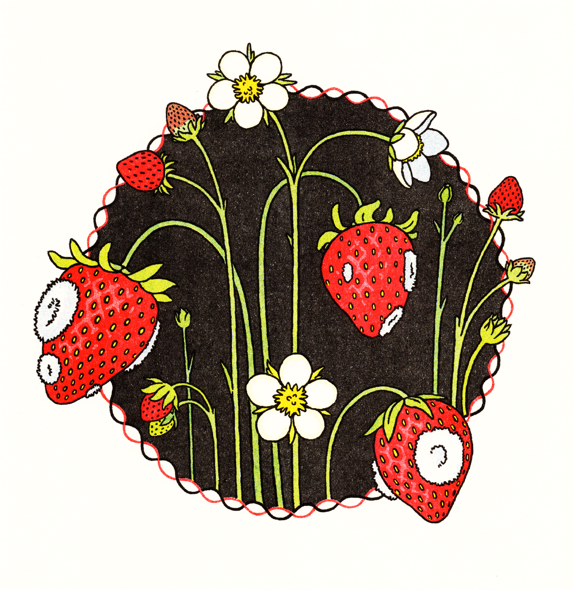 even brghter small.png