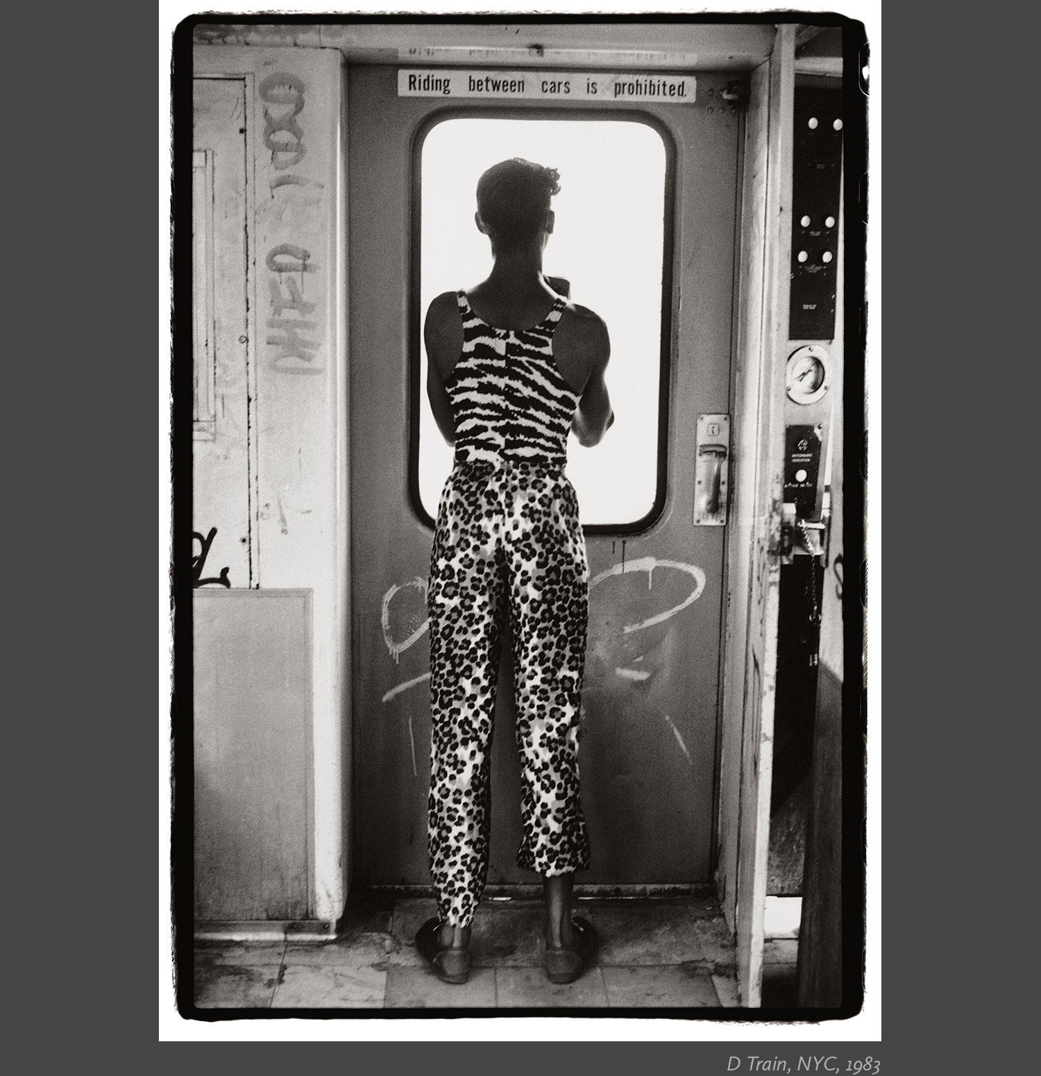 6_D-Train,-NYC,-1983.jpg