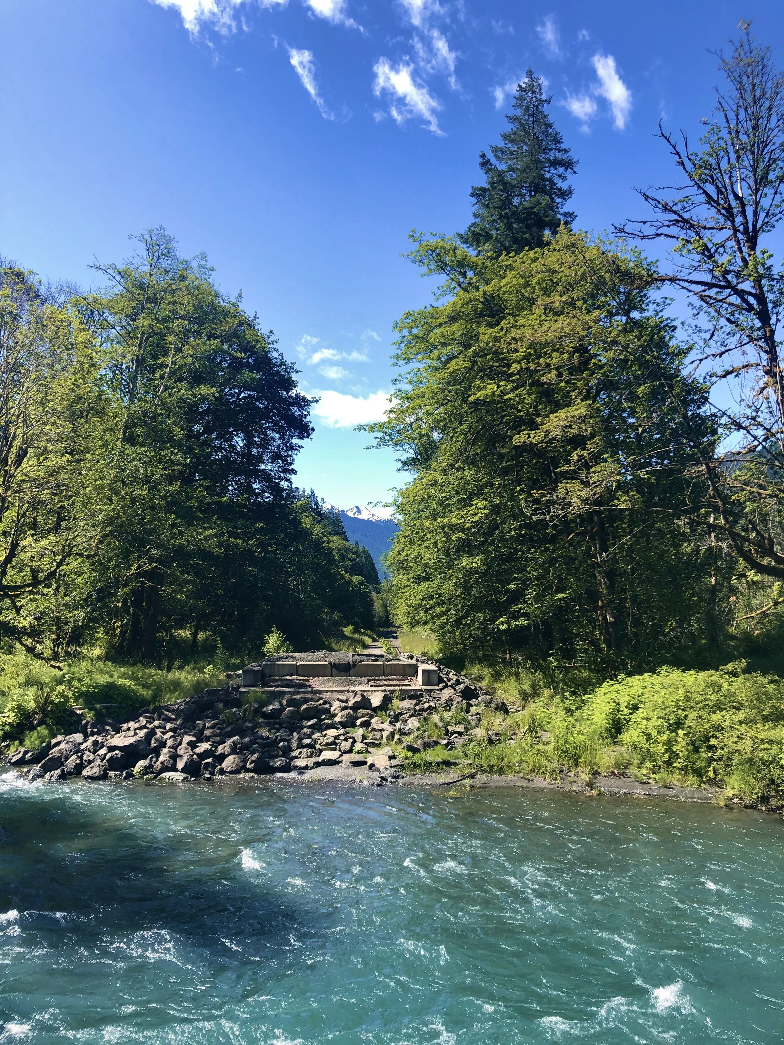 The Elwha River Valley