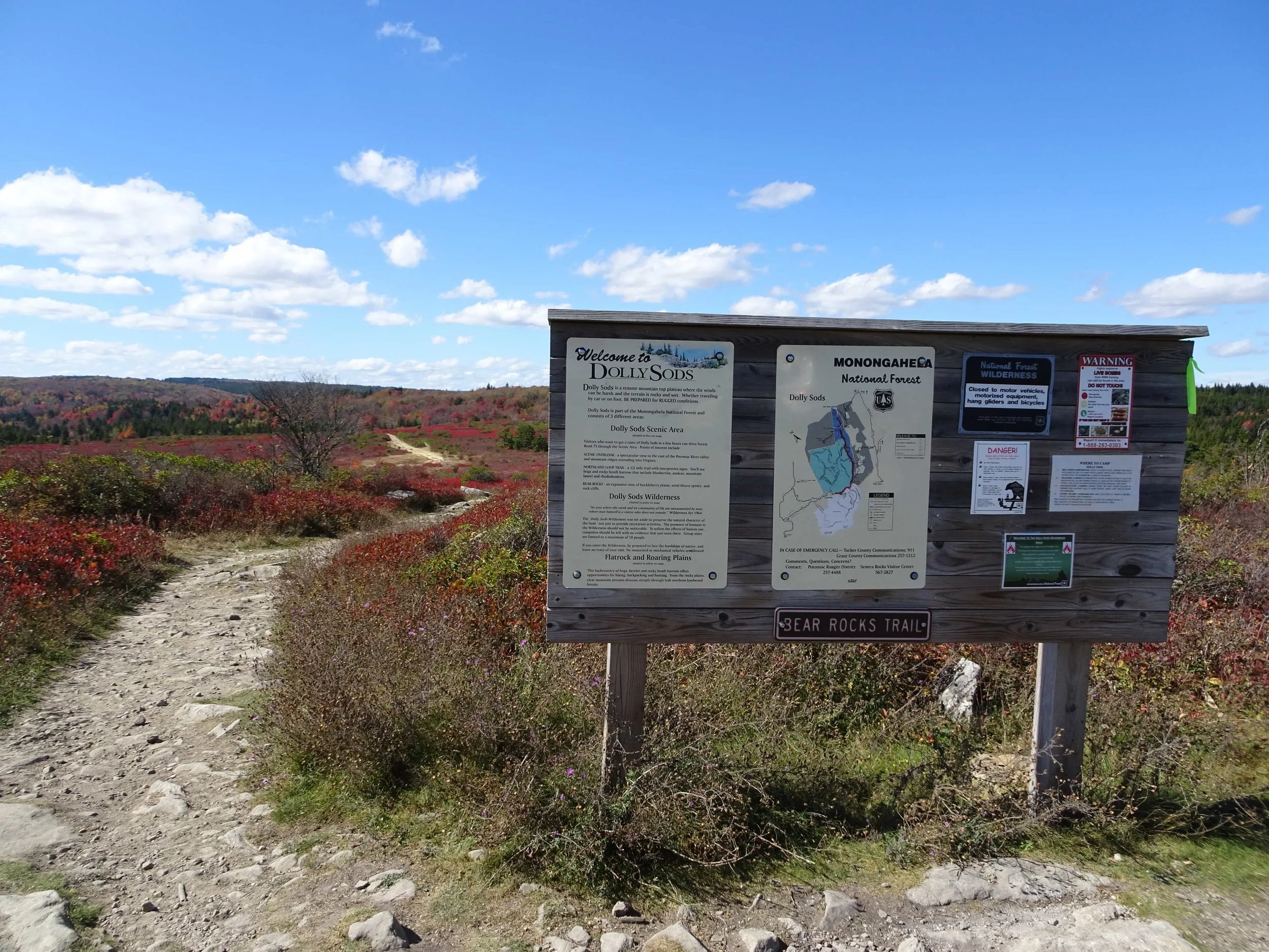 DSC08701-min.jpg