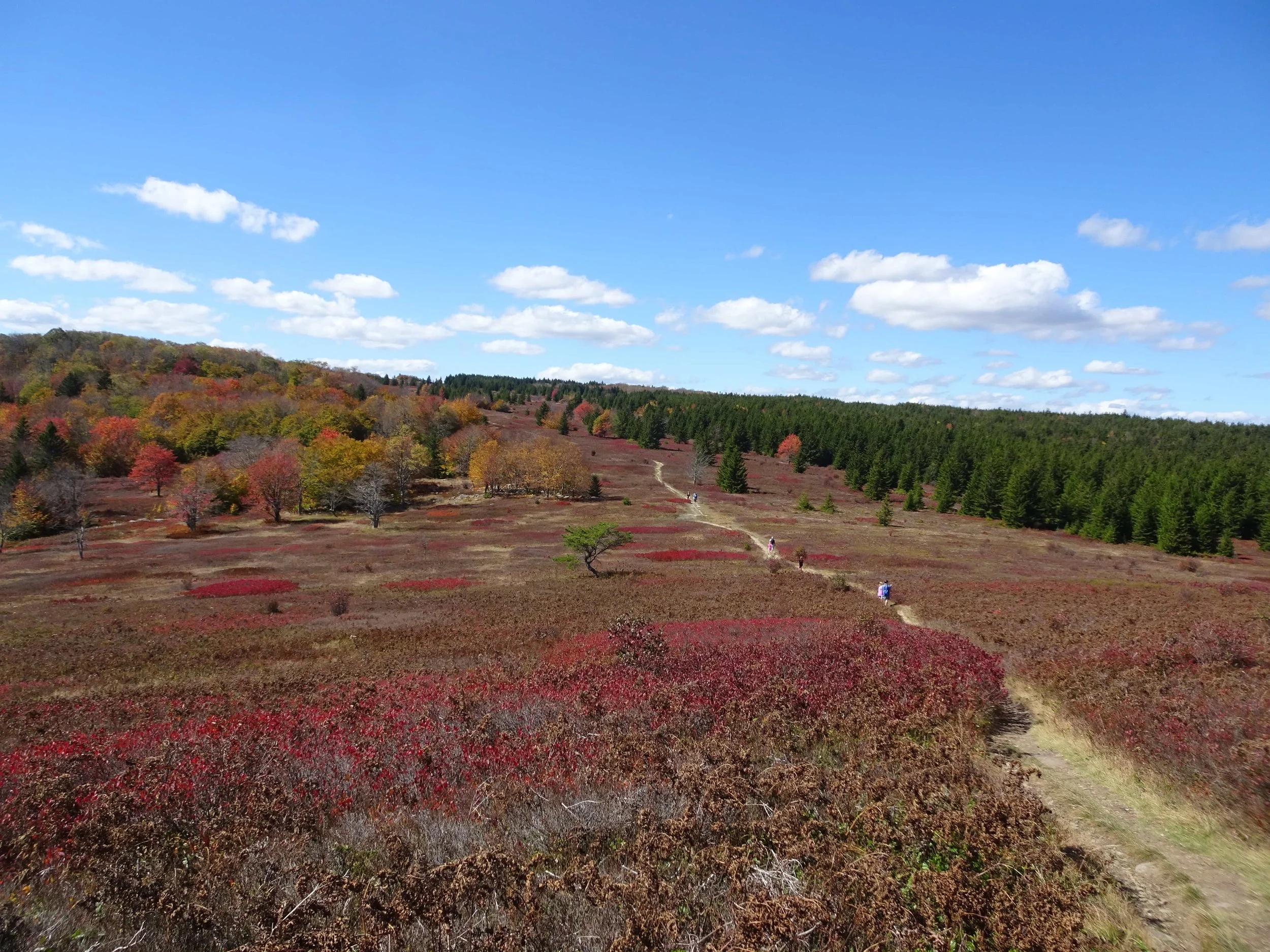 DSC08692-min.jpg