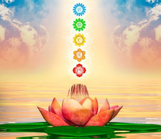 reiki.jpg