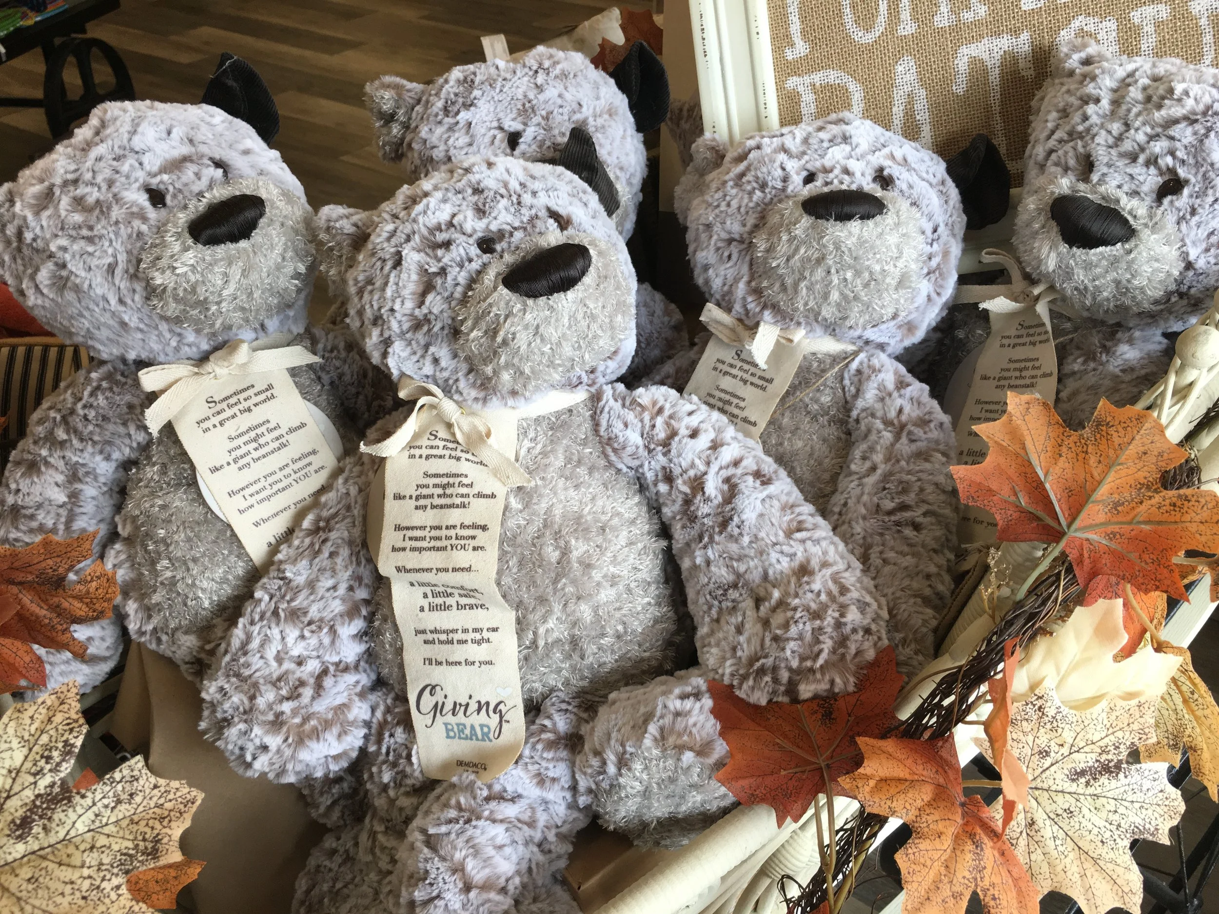 The Teddy Bear that Gives Everything