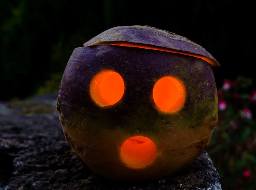 pure-enchantment-turnip.jpg
