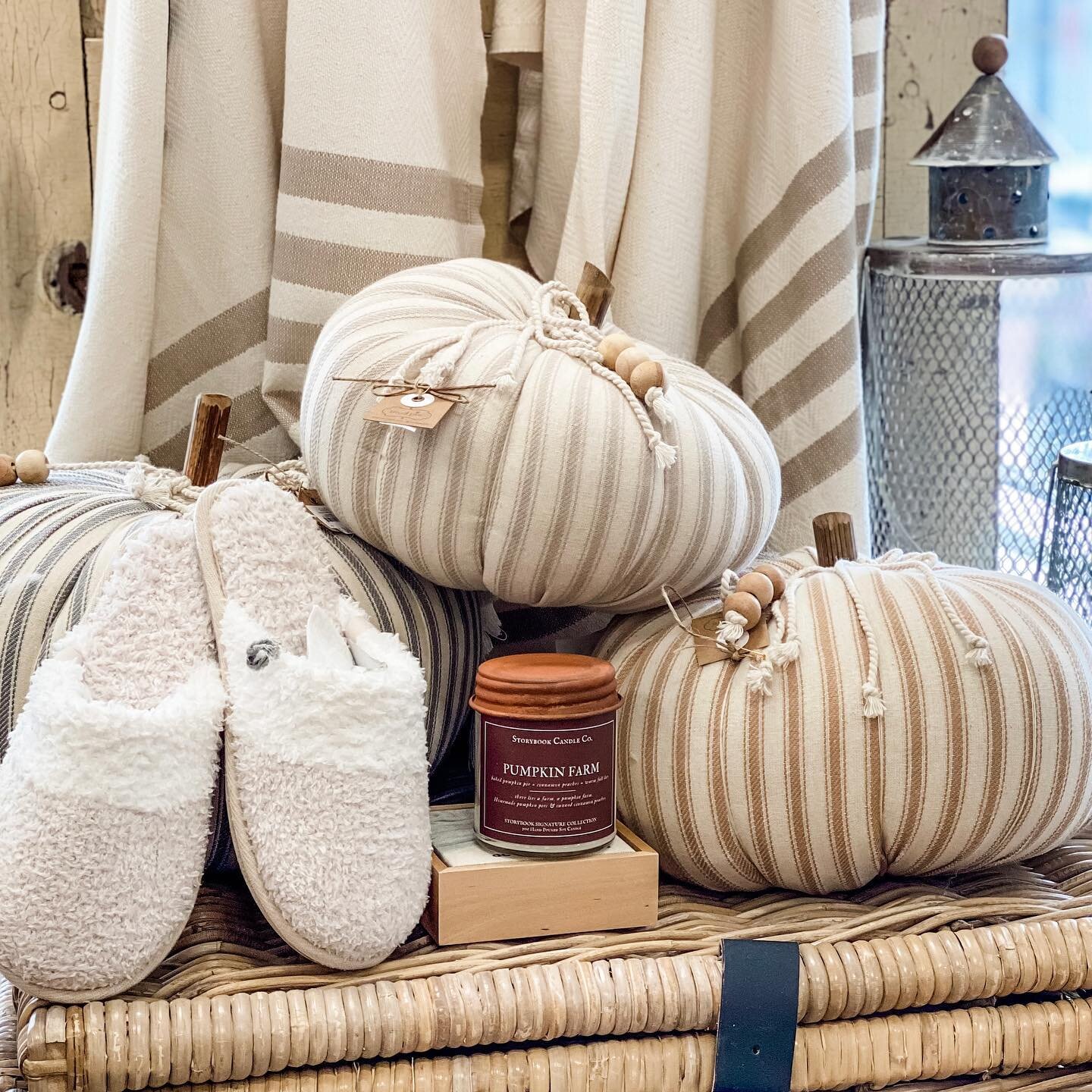 We think these are the perfect little pumpkins for your fall decor 🍁