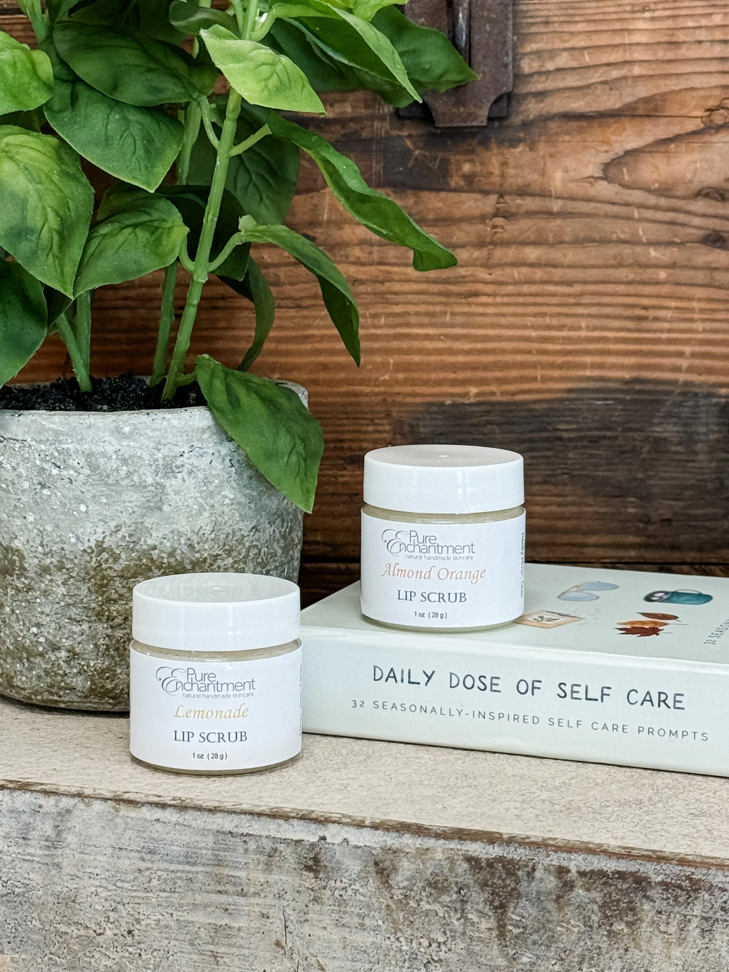 Our Lip Scrubs are back! 