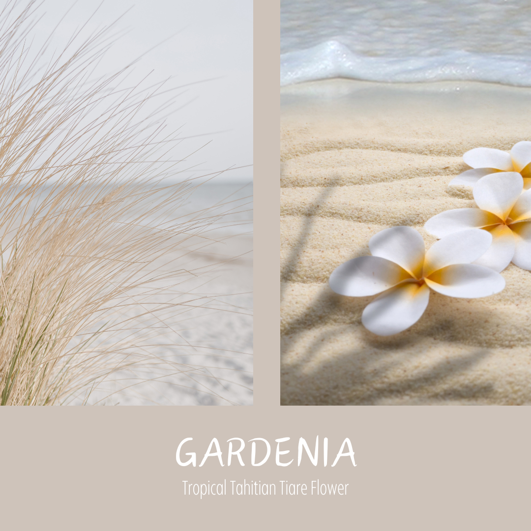 Gardenia
