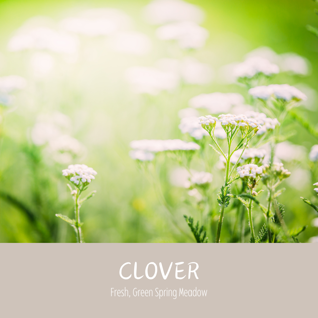 Clover