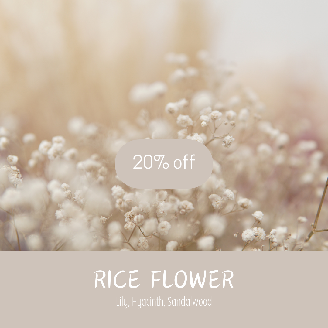 Rice Flower