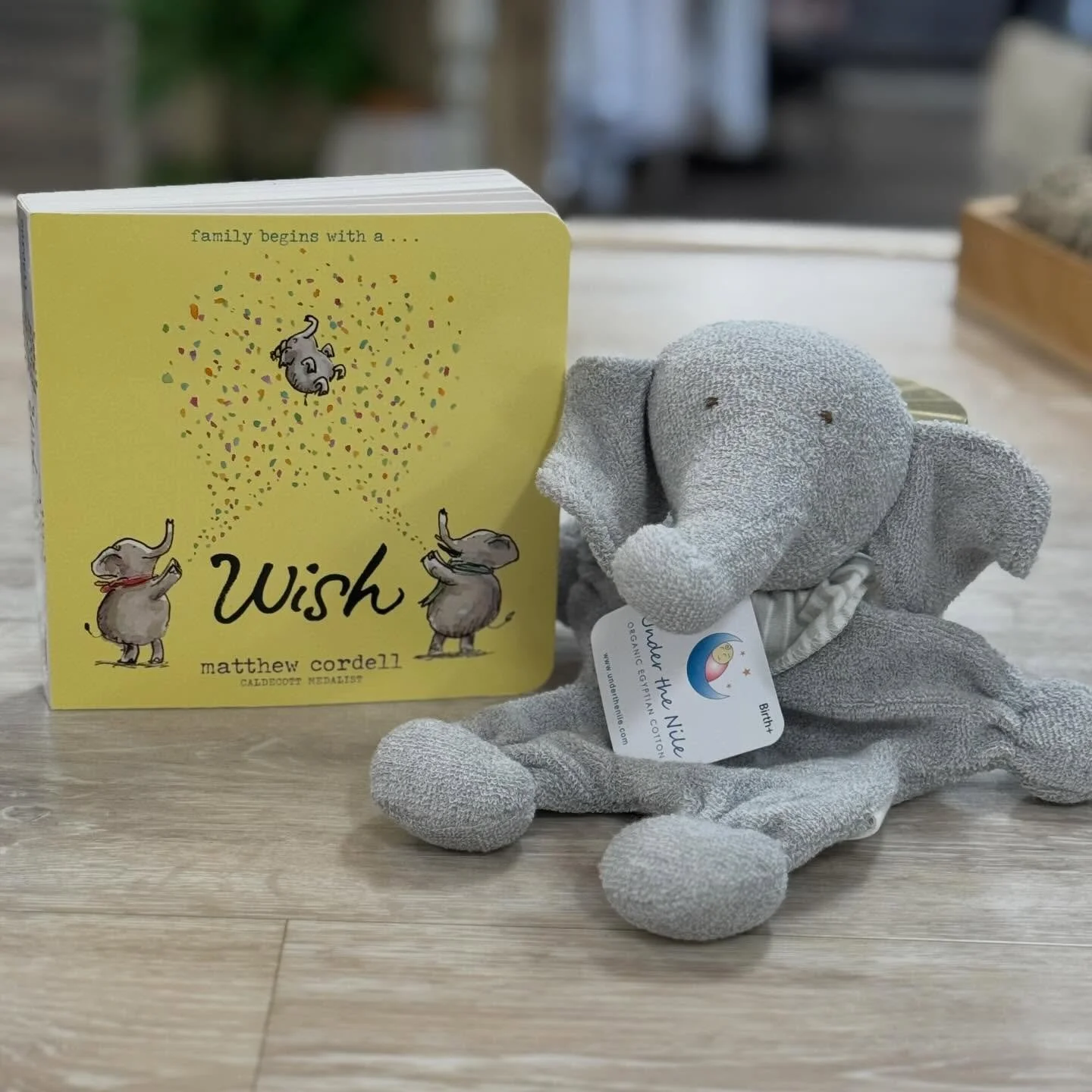 This sweet story by Matthew Cordell is a parent&rsquo;s ode to &ldquo;anticipatory joy,&rdquo; as an elephant couple embarks on their life together, thoughts of children are far away &mdash; at first. But as the desire for a child grows, so do unexpe