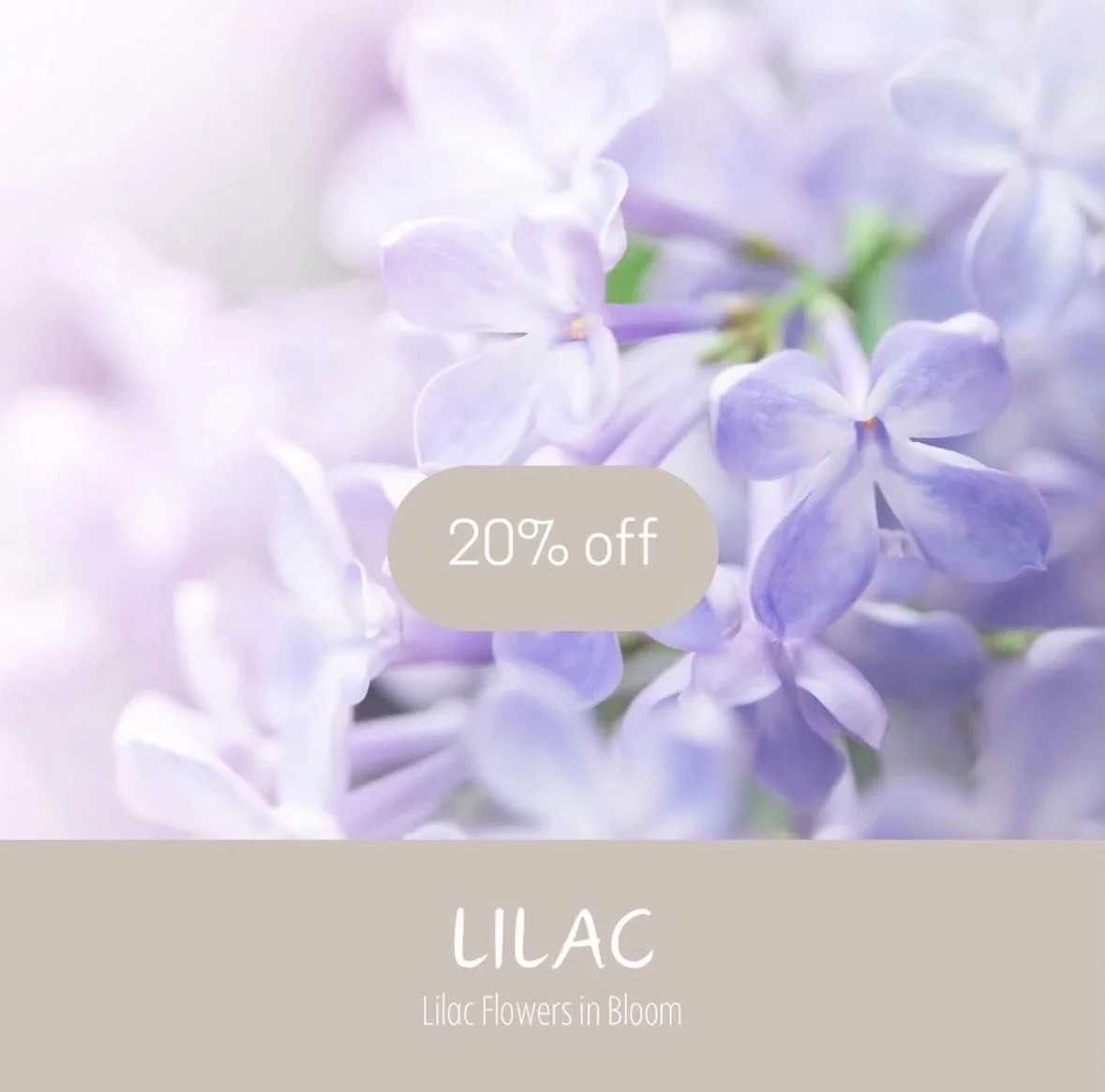 April is truly the perfect month for celebrating our favorite floral, the lovely Lilac🪻🙂 With the vibrant blooming flowers and the joyful spirit of Easter all around, the delightful scent of lilacs in full bloom brings the enchanting aroma of sprin