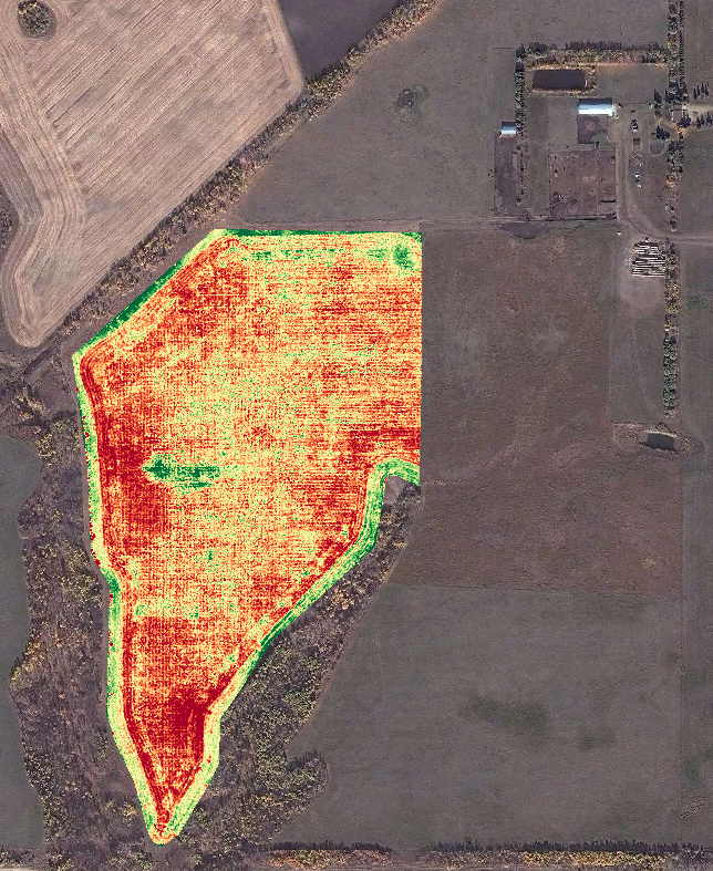 NDVI Image: Fababeans, taken in 2015.
