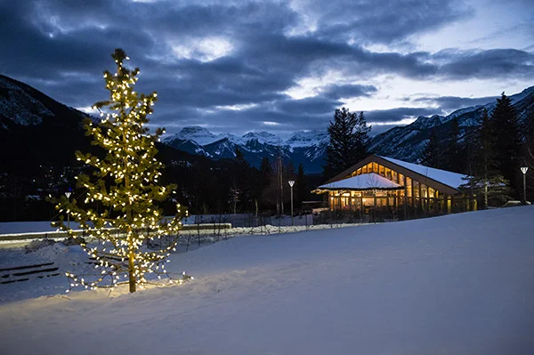 Winter Lights