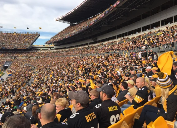Sea of black and gold at Steelers game Photos courtesy of Sam Gary
