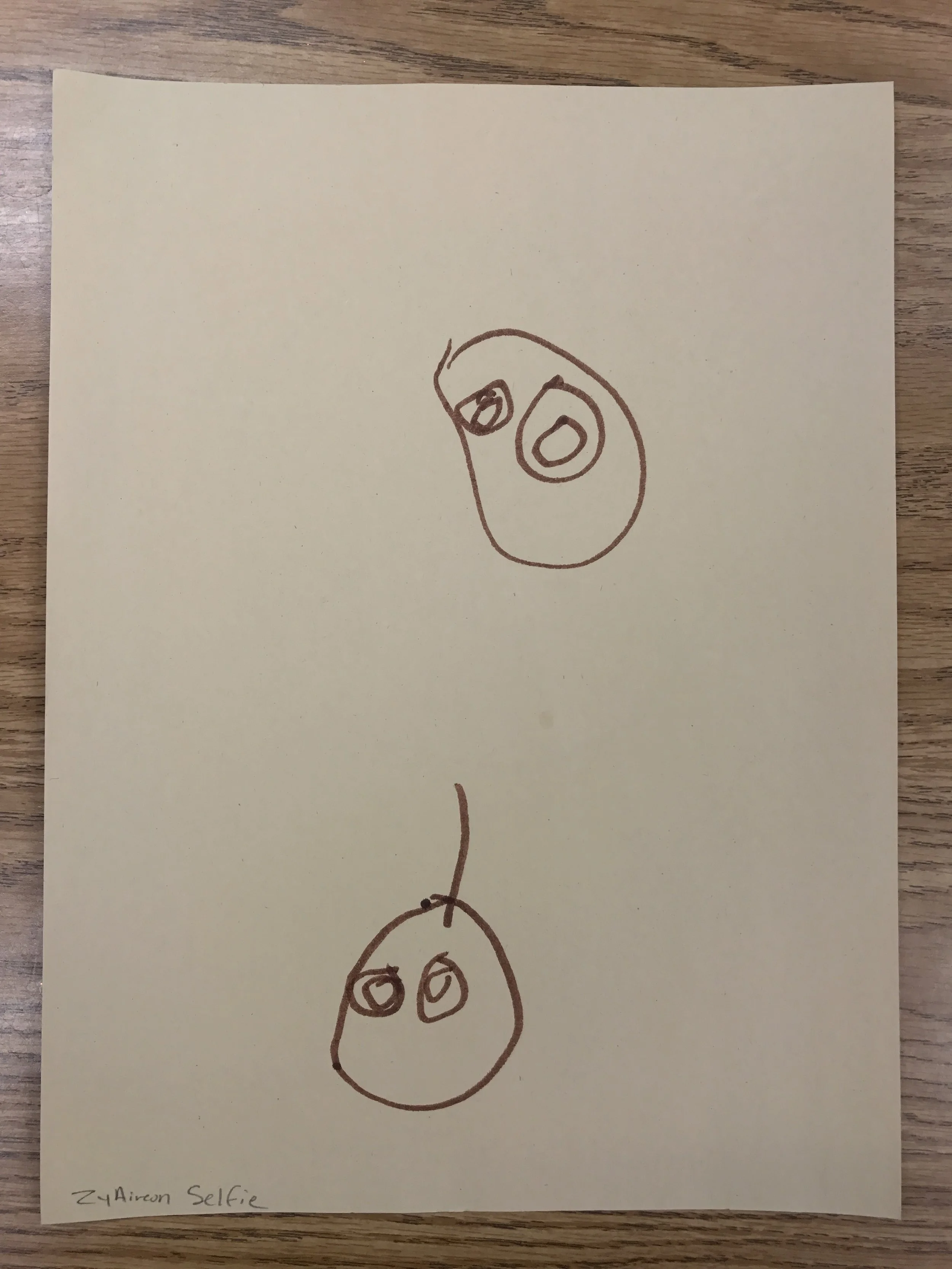 Selected by Kris Wiley