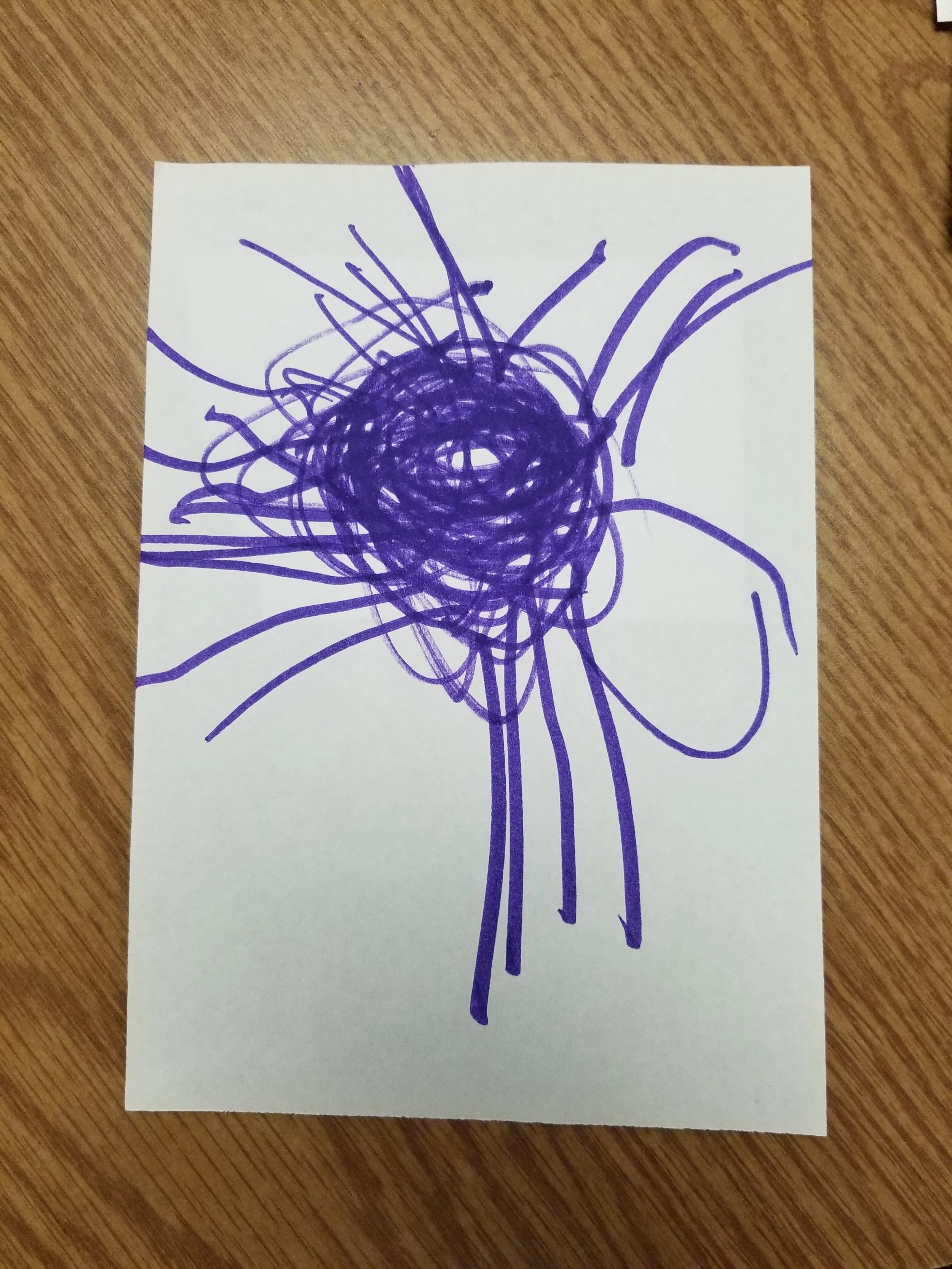 The Tiger Spider chosen by Jared Applegate