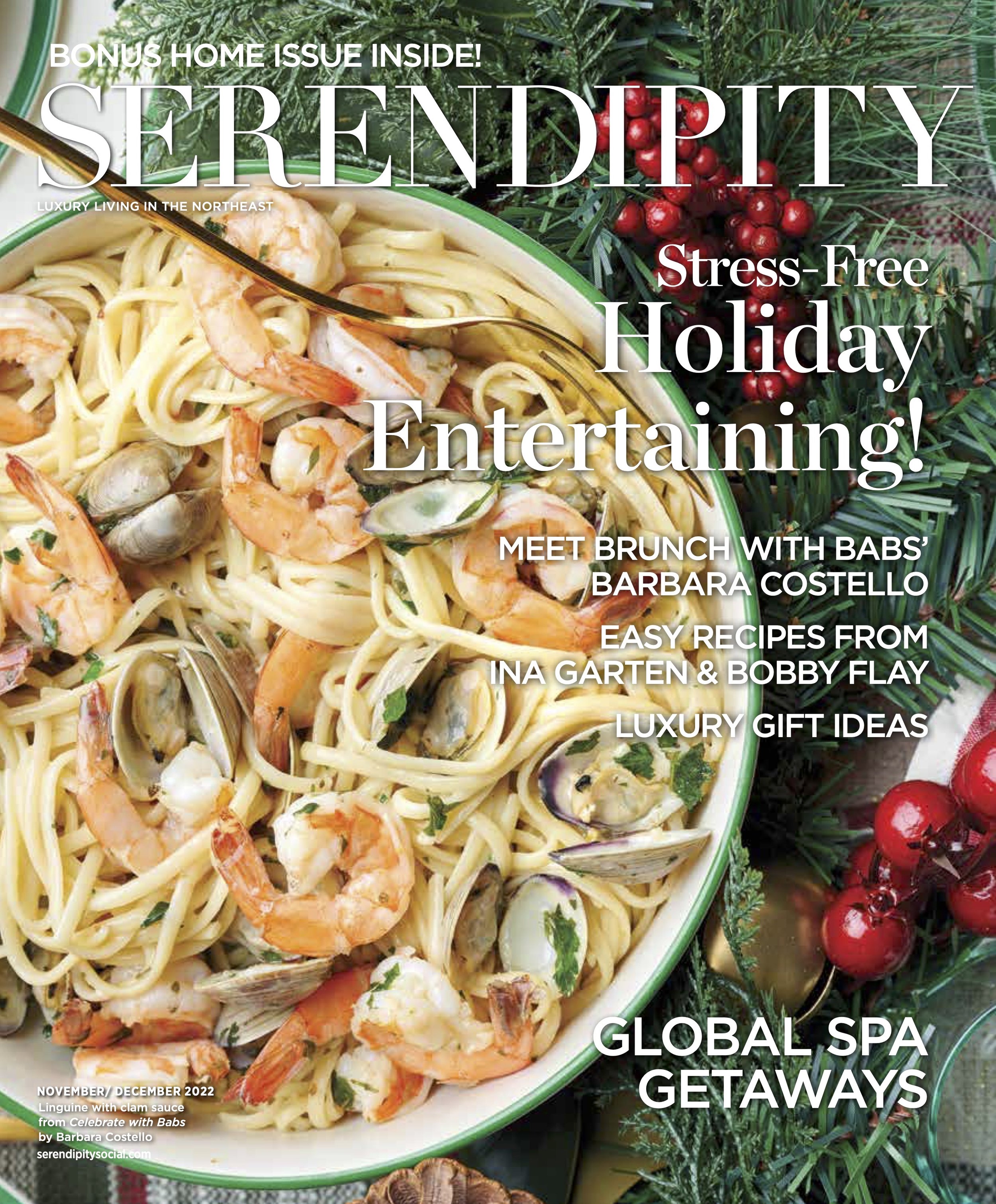 EL_SerendipityMagazine2_NovemberDecember22.jpeg