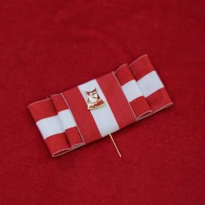 pin och band.jpeg
