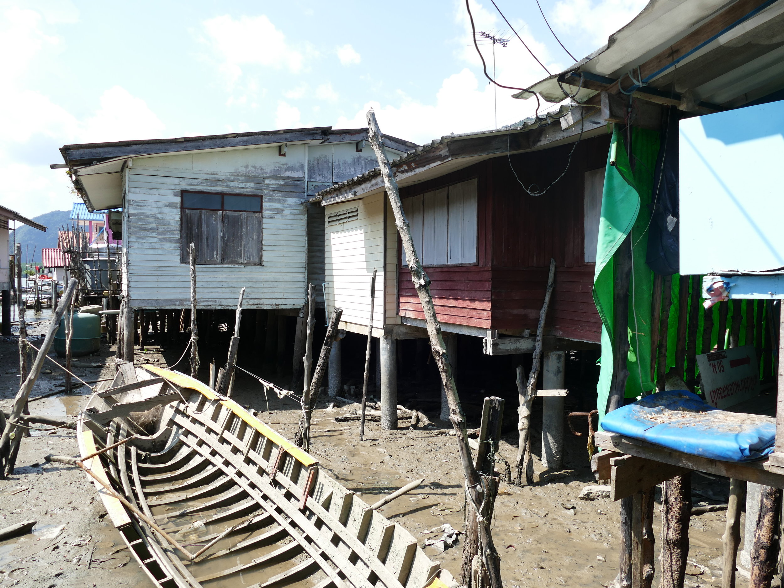P1110796.jpg