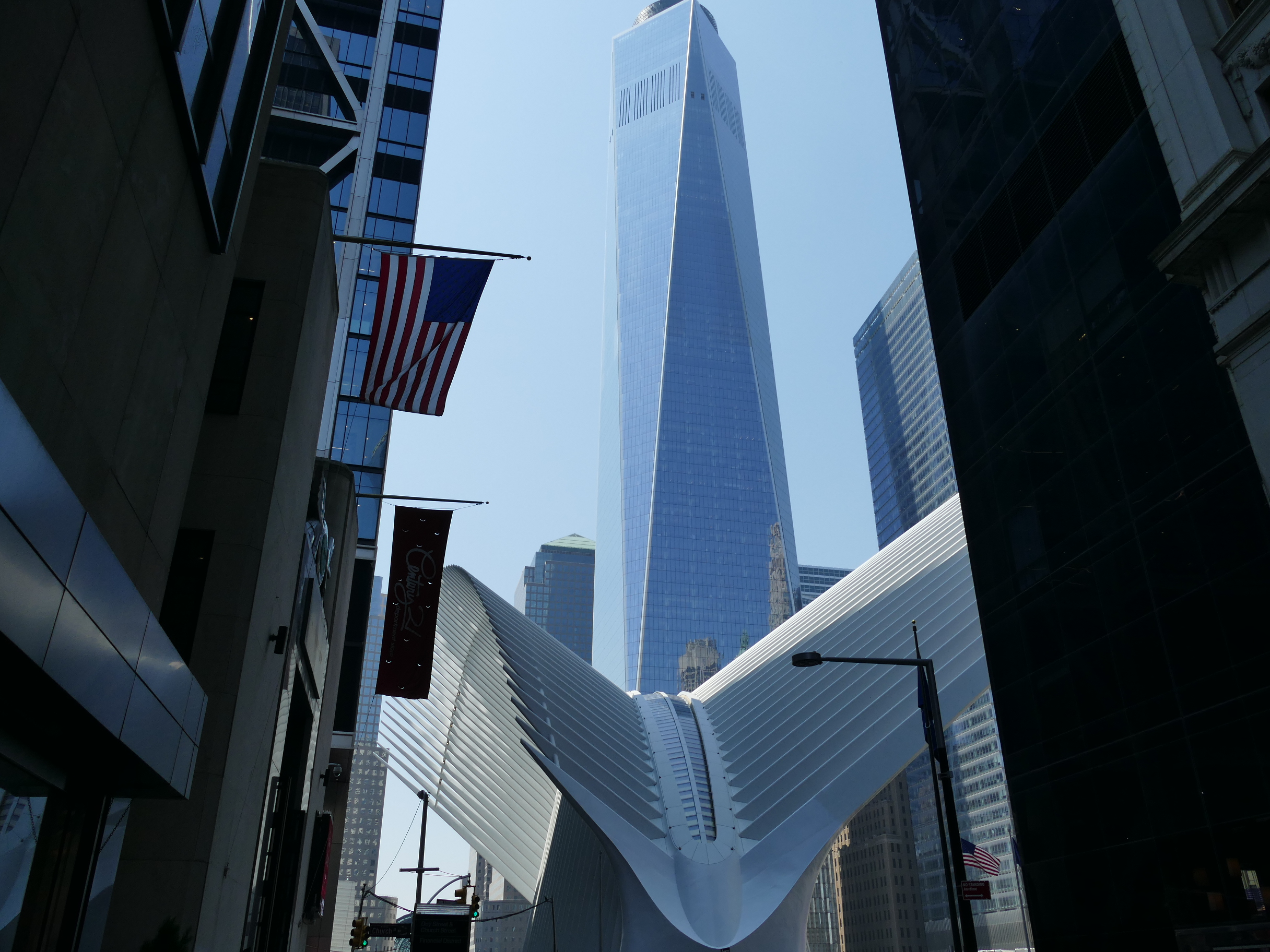 P1210964.jpg