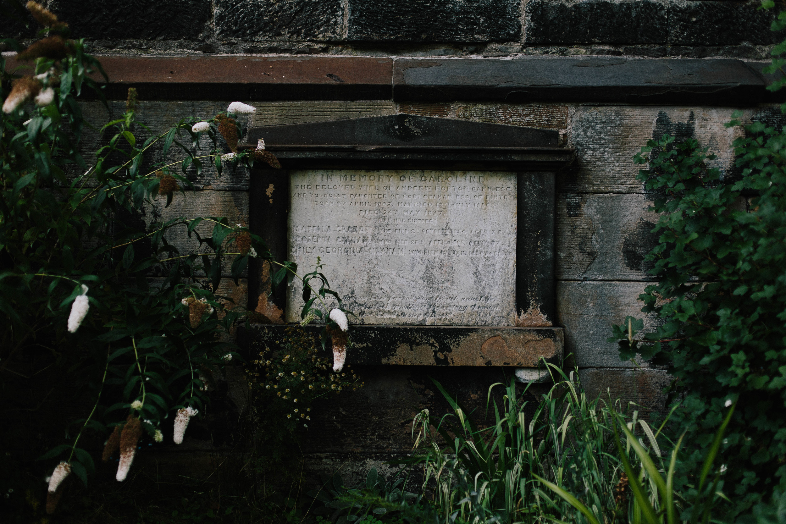 1B3A6433.jpg