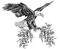 Boudoir Logo - Eagle.jpg