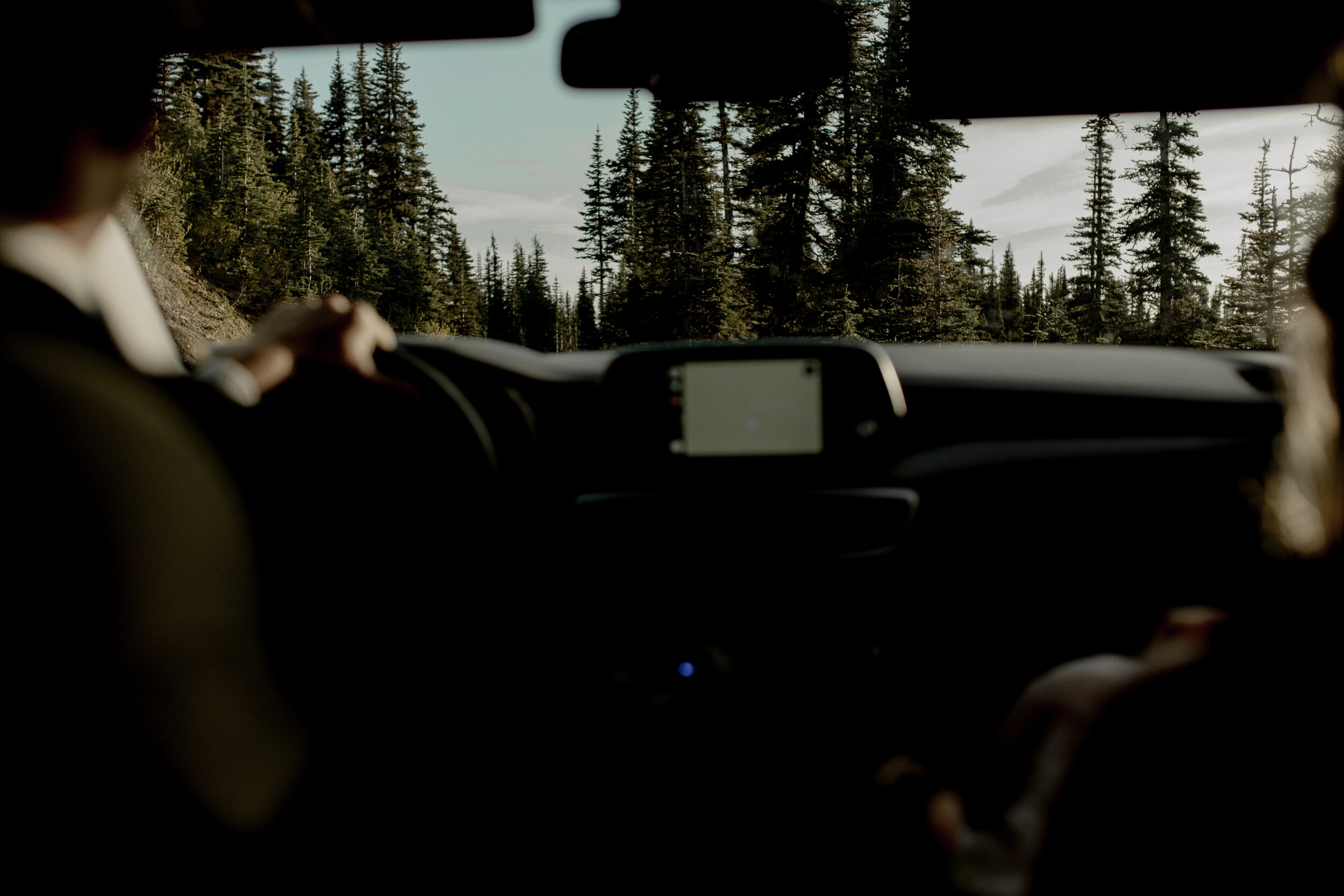 Hurricane Ridge Elopement-530.jpg