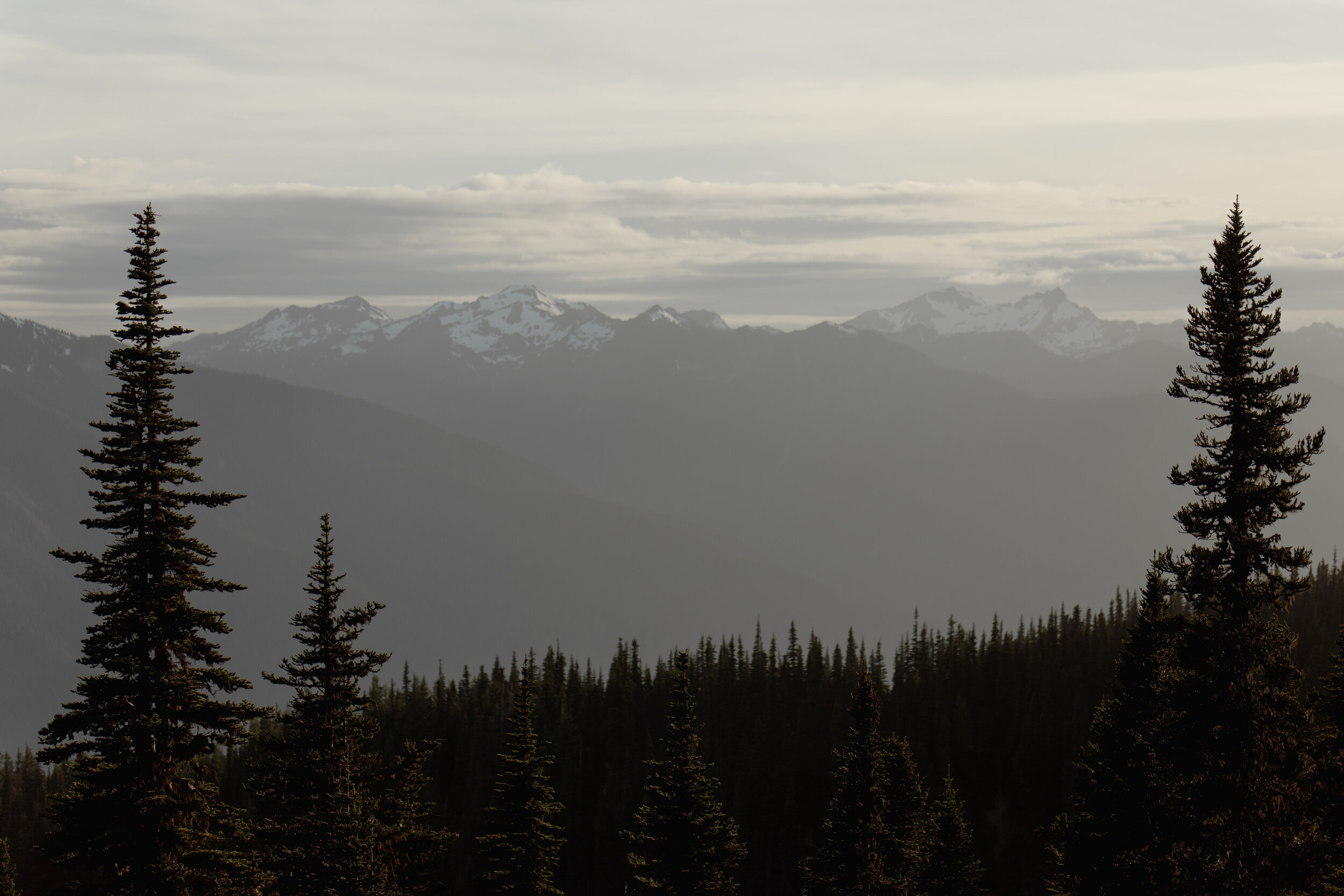 Hurricane Ridge Elopement-578.jpg