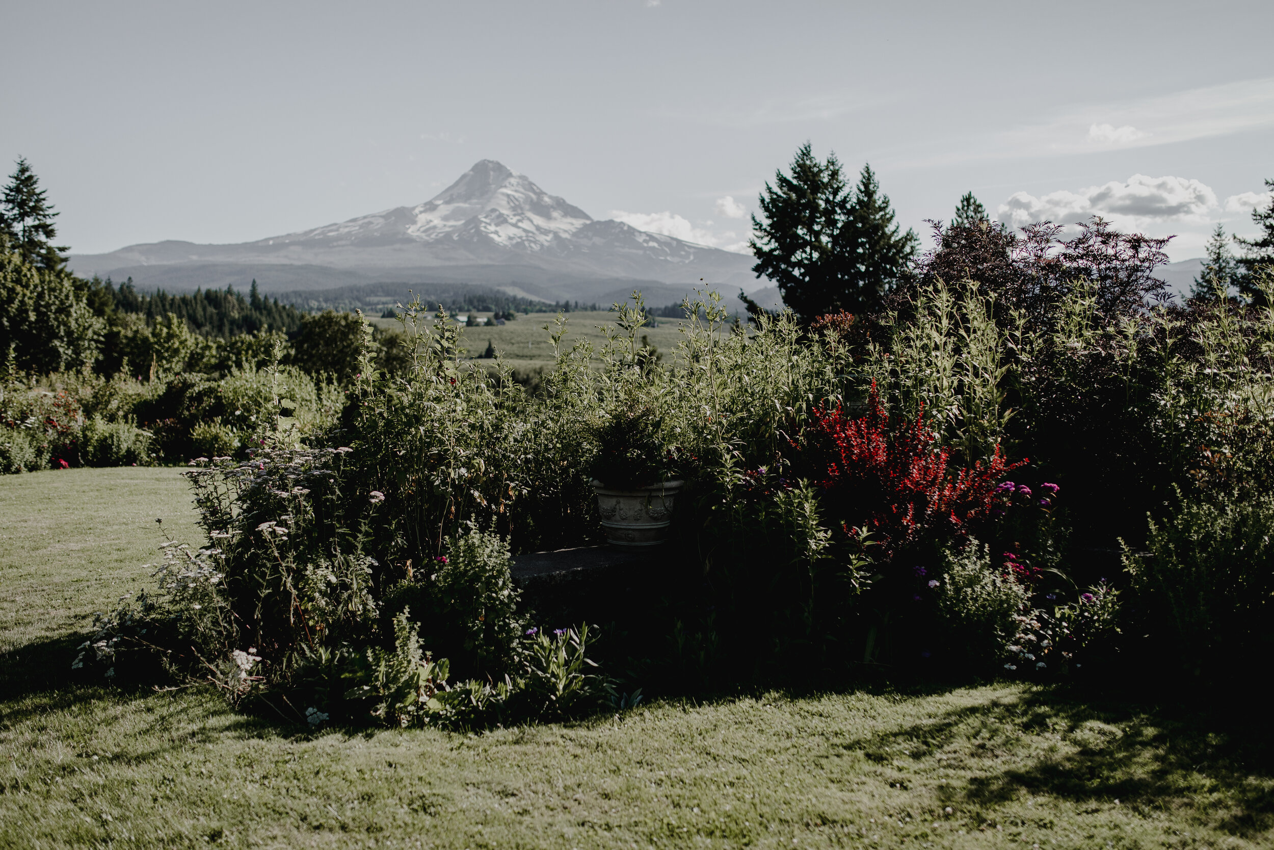 Becky & David Mt. Hood Oregon Wedding-462.jpg