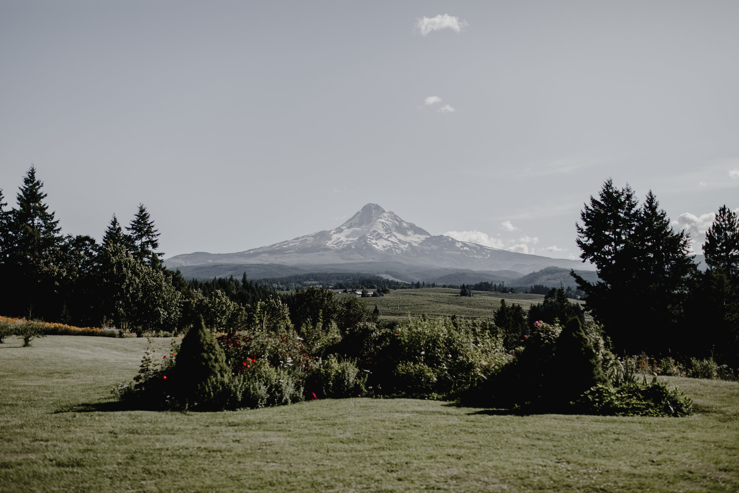 Becky & David Mt. Hood Oregon Wedding-464.jpg